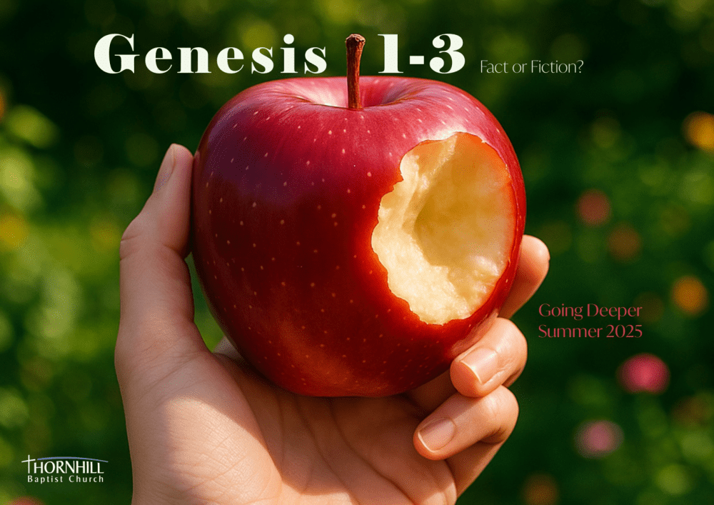 Genesis 1-3 Truth or Fiction - Session 4 Image