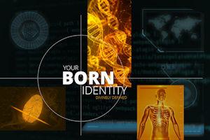 BornIdentity - Web