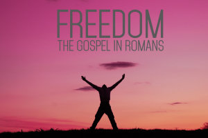 Freedom - web
