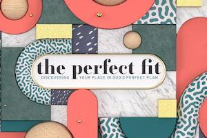The-Perfect-Fit-Web