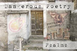 Dangerous Poetry - Web