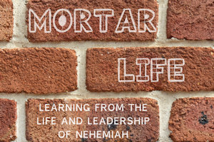 Mortar Life - web