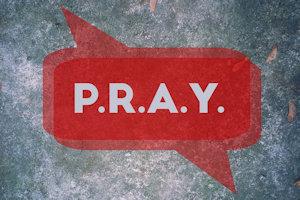 PRAY - Web